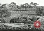 Image of soybean cultivation Harbin Manchukuo Manchuria China, 1928, second 22 stock footage video 65675066285