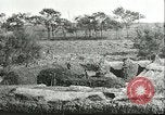 Image of soybean cultivation Harbin Manchukuo Manchuria China, 1928, second 23 stock footage video 65675066285