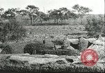 Image of soybean cultivation Harbin Manchukuo Manchuria China, 1928, second 25 stock footage video 65675066285