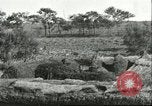 Image of soybean cultivation Harbin Manchukuo Manchuria China, 1928, second 28 stock footage video 65675066285