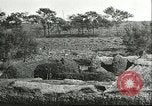 Image of soybean cultivation Harbin Manchukuo Manchuria China, 1928, second 29 stock footage video 65675066285