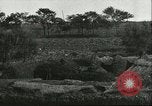 Image of soybean cultivation Harbin Manchukuo Manchuria China, 1928, second 30 stock footage video 65675066285
