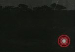 Image of soybean cultivation Harbin Manchukuo Manchuria China, 1928, second 31 stock footage video 65675066285