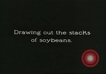 Image of soybean cultivation Harbin Manchukuo Manchuria China, 1928, second 32 stock footage video 65675066285