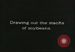 Image of soybean cultivation Harbin Manchukuo Manchuria China, 1928, second 33 stock footage video 65675066285