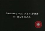 Image of soybean cultivation Harbin Manchukuo Manchuria China, 1928, second 34 stock footage video 65675066285