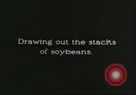 Image of soybean cultivation Harbin Manchukuo Manchuria China, 1928, second 36 stock footage video 65675066285