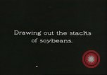 Image of soybean cultivation Harbin Manchukuo Manchuria China, 1928, second 38 stock footage video 65675066285