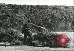 Image of soybean cultivation Harbin Manchukuo Manchuria China, 1928, second 54 stock footage video 65675066285