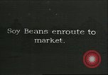 Image of soybean Harbin Manchukuo Manchuria China, 1928, second 1 stock footage video 65675066286