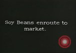 Image of soybean Harbin Manchukuo Manchuria China, 1928, second 3 stock footage video 65675066286