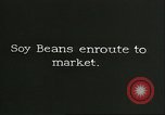 Image of soybean Harbin Manchukuo Manchuria China, 1928, second 4 stock footage video 65675066286