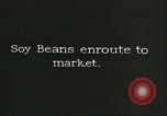 Image of soybean Harbin Manchukuo Manchuria China, 1928, second 5 stock footage video 65675066286