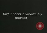 Image of soybean Harbin Manchukuo Manchuria China, 1928, second 6 stock footage video 65675066286