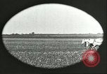 Image of soybean Harbin Manchukuo Manchuria China, 1928, second 7 stock footage video 65675066286