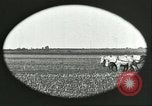Image of soybean Harbin Manchukuo Manchuria China, 1928, second 8 stock footage video 65675066286