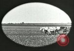 Image of soybean Harbin Manchukuo Manchuria China, 1928, second 9 stock footage video 65675066286