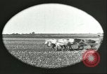 Image of soybean Harbin Manchukuo Manchuria China, 1928, second 10 stock footage video 65675066286