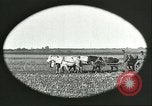 Image of soybean Harbin Manchukuo Manchuria China, 1928, second 11 stock footage video 65675066286