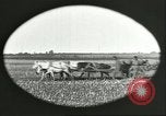 Image of soybean Harbin Manchukuo Manchuria China, 1928, second 12 stock footage video 65675066286