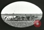 Image of soybean Harbin Manchukuo Manchuria China, 1928, second 13 stock footage video 65675066286