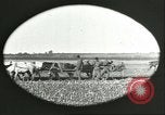 Image of soybean Harbin Manchukuo Manchuria China, 1928, second 14 stock footage video 65675066286