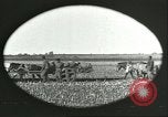 Image of soybean Harbin Manchukuo Manchuria China, 1928, second 16 stock footage video 65675066286