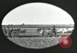Image of soybean Harbin Manchukuo Manchuria China, 1928, second 18 stock footage video 65675066286