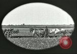 Image of soybean Harbin Manchukuo Manchuria China, 1928, second 19 stock footage video 65675066286