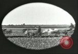 Image of soybean Harbin Manchukuo Manchuria China, 1928, second 20 stock footage video 65675066286