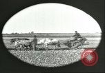 Image of soybean Harbin Manchukuo Manchuria China, 1928, second 22 stock footage video 65675066286