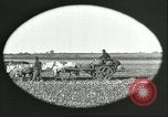 Image of soybean Harbin Manchukuo Manchuria China, 1928, second 23 stock footage video 65675066286