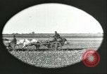 Image of soybean Harbin Manchukuo Manchuria China, 1928, second 24 stock footage video 65675066286