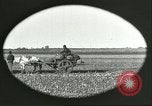Image of soybean Harbin Manchukuo Manchuria China, 1928, second 25 stock footage video 65675066286