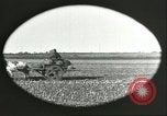 Image of soybean Harbin Manchukuo Manchuria China, 1928, second 26 stock footage video 65675066286