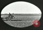 Image of soybean Harbin Manchukuo Manchuria China, 1928, second 27 stock footage video 65675066286