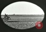 Image of soybean Harbin Manchukuo Manchuria China, 1928, second 28 stock footage video 65675066286