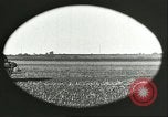 Image of soybean Harbin Manchukuo Manchuria China, 1928, second 29 stock footage video 65675066286