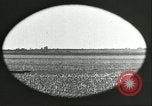 Image of soybean Harbin Manchukuo Manchuria China, 1928, second 30 stock footage video 65675066286