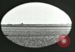 Image of soybean Harbin Manchukuo Manchuria China, 1928, second 31 stock footage video 65675066286