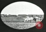Image of soybean Harbin Manchukuo Manchuria China, 1928, second 35 stock footage video 65675066286
