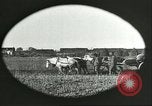 Image of soybean Harbin Manchukuo Manchuria China, 1928, second 37 stock footage video 65675066286