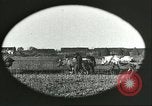 Image of soybean Harbin Manchukuo Manchuria China, 1928, second 46 stock footage video 65675066286