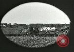 Image of soybean Harbin Manchukuo Manchuria China, 1928, second 47 stock footage video 65675066286
