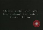 Image of soybean Harbin Manchukuo Manchuria China, 1928, second 53 stock footage video 65675066286