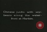 Image of soybean Harbin Manchukuo Manchuria China, 1928, second 59 stock footage video 65675066286