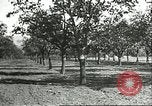 Image plaqueminier vergers Chihli Chine, 1928, de la seconde 15 séquences d'archives historiques vidéo 65675066288