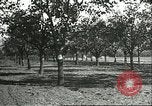 Image plaqueminier vergers Chihli Chine, 1928, de la seconde 17 séquences d'archives historiques vidéo 65675066288