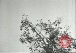 Immagine di Raccolto persimmon Chihli Cina, 1928, secondo 13 filmato di repertorio 65675066289