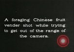 Immagine di Raccolto persimmon Chihli Cina, 1928, secondo 26 filmato di repertorio 65675066289